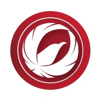 AltoFocus - Time-Lapse & Drone Filming logo - Similar company to Skydive Langar