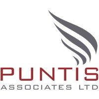 Puntis Associates Ltd logo - Similar company to Tempest Subsea