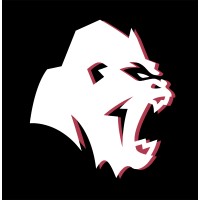 Defiant Studios logo - Similar company to Infinite Spaces