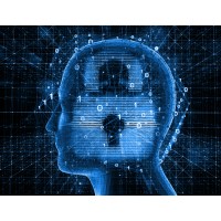 Computer Science at the University of Surrey logo - Similar company to Surrey Compsoc