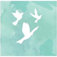 Edema Partners logo - Similar company to Necessary Comforts®