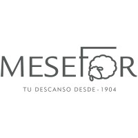 MESEFOR logo - Similar company to Lemon City Studios