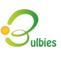 Bulbies Education Company Limited logo - Similar company to Blended Education Company