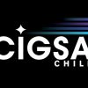 CIGSA Chile logo - Similar company to Higher Bit Solutions