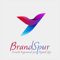 BrandSpur.Digital logo - Similar company to Fourth Leap Consulting
