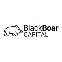 BlackBoar Capital logo - Similar company to Cobbs Dach Gmbh