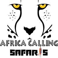 Africa Calling Safaris Limited logo - Similar company to Kindworld Projects