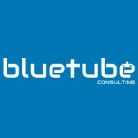 BlueTube Consulting logo - Similar company to Sainath