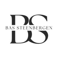 Bas Steenbergen logo - Similar company to Novae Agency