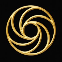 Insight Group logo - Similar company to Ateliers Delbeque