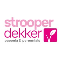Strooper-Dekker B.V. logo - Similar company to Socrates Academy - Honor School Of Excellence