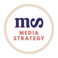 Media Strategy logo - Similar company to Media Strategy Network