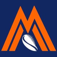 MegaBank Gambia Ltd logo - Similar company to Gamswitch Company Ltd