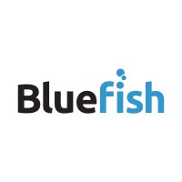 Bluefish Design LLC logo - Similar company to Extra Credit Projects