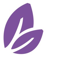 Vidanova Pension Fund logo - Similar company to Vidanova Life