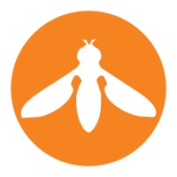 Hoverfly Technologies logo - Similar company to Orion Technologies Llc