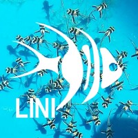LINI Foundation logo - Similar company to Coral Triangle Center