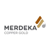 PT Merdeka Copper Gold Tbk logo - Similar company to X