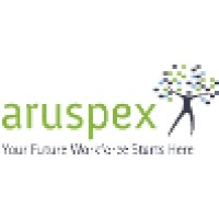 Aruspex