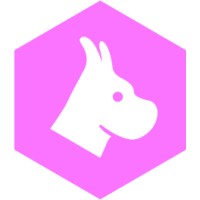Dane Digi logo - Similar company to Boko Digital Solutions