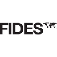 Financial Systems Development Services Ag