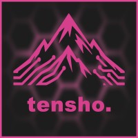 Tensho Labs LLC logo - Similar company to Aze It