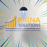 Brina Solutions logo - Similar company to 10 Million Makers