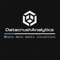 Datacrushanalytics logo - Similar company to Datachamps