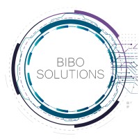 bibosolutions logo - Similar company to Catg Infotech