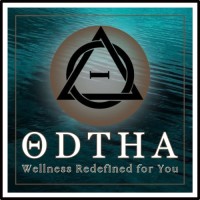 ODTHA, Inc. logo - Similar company to Dm National