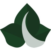 Ivy Lines logo - Similar company to Lunar Interactive