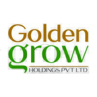 Golden Grow Holdings logo - Similar company to Kriwininternational