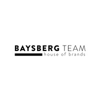 BaysbergTeam logo - Similar company to Not So Evil