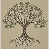 Oliveira Data Consulting