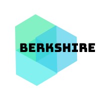 Berkshire Consulting & Services Co. logo - Similar company to Synapsis Solutions | Fintech