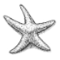 Starfish International