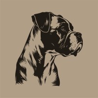 Brindle Capital logo - Similar company to The Oakdale Company