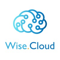 Wise Cloud logo - Similar company to Read Project