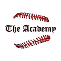 The Baseball Academy logo - Similar company to Future Star Baseball Academy