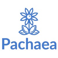 Pachaea logo - Similar company to Algikey, Algae Based Solutions