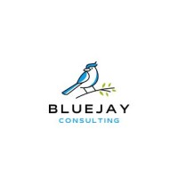 BlueJay Consulting LLC logo - Similar company to Blue Jay Consulting Inc.