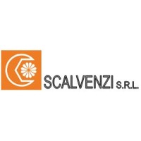 Scalvenzi Srl logo - Similar company to F.E.B. Srl