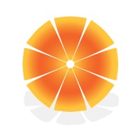 Orange Solutions Ltd logo - Similar company to Orange Solutions Ltd