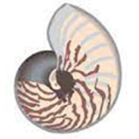 Ecorhythm Architects logo - Similar company to Ctescoa