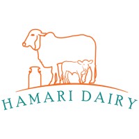 Hamari Dairy logo - Similar company to Qaddoo