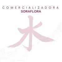 Comercializadora Soraflora logo - Similar company to Aduaeasy