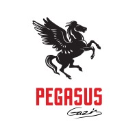 Pegasus Gazis Group logo - Similar company to D&S Anastopoulos S.A.