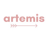 Artemis Partnerships logo - Similar company to Sky Clip Sales