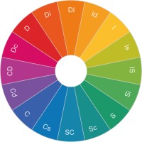 MiperfilDISC.com logo - Similar company to Cachopo Studio