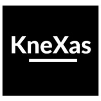 KneXas logo - Similar company to Parlay Talent